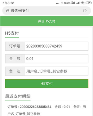 H5支付表单页